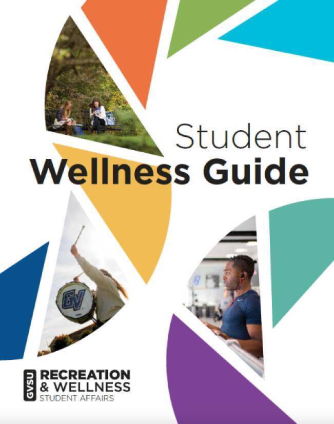 Graphic for Student Wellness Guide